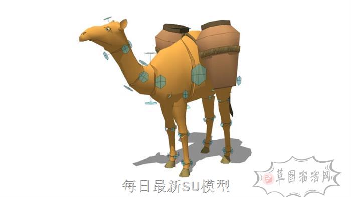 骆驼动物SU模型