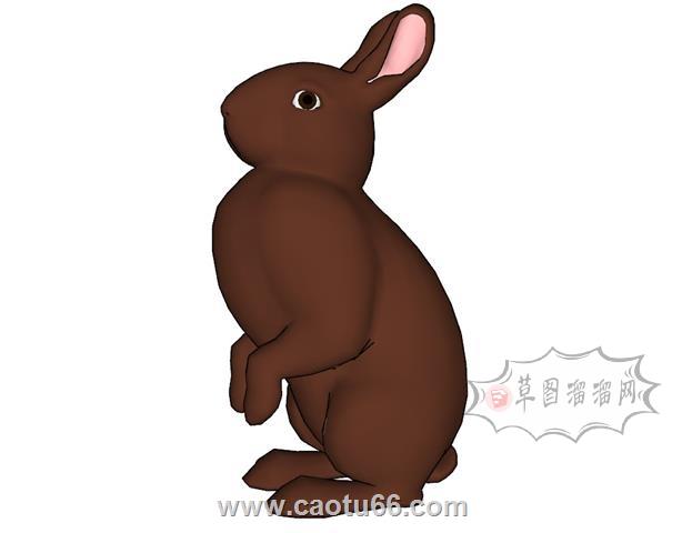 兔子动物SU模型