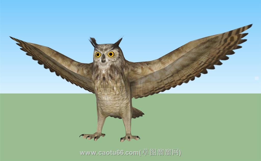 动物猫头鹰SU模型