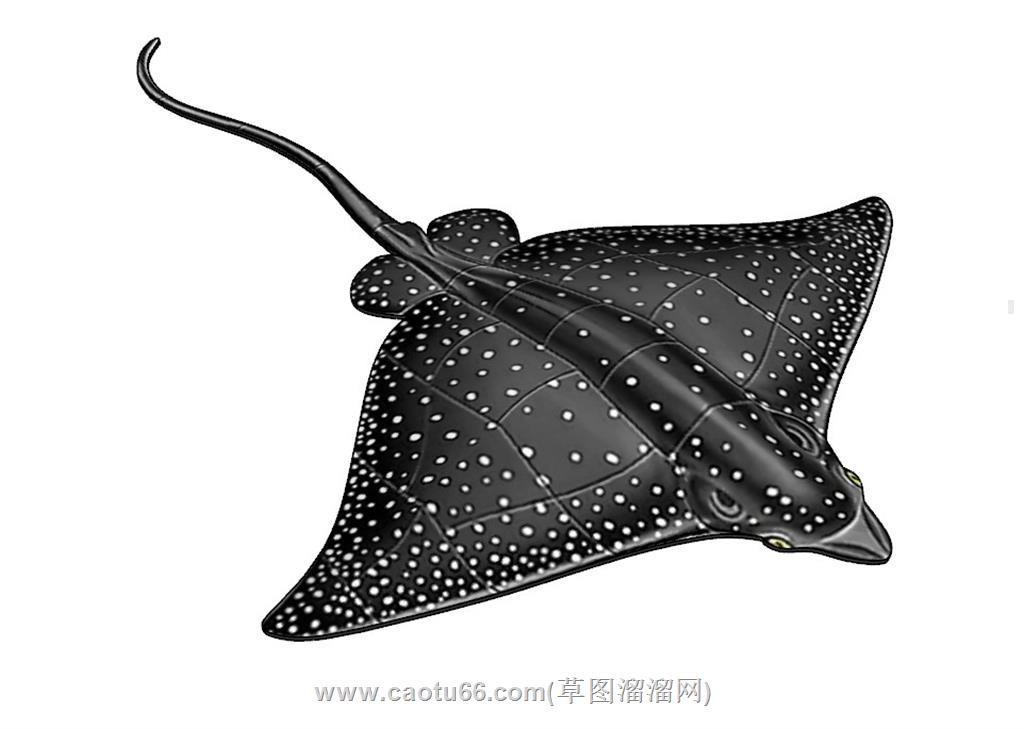海鱼深海鱼鱼SU模型