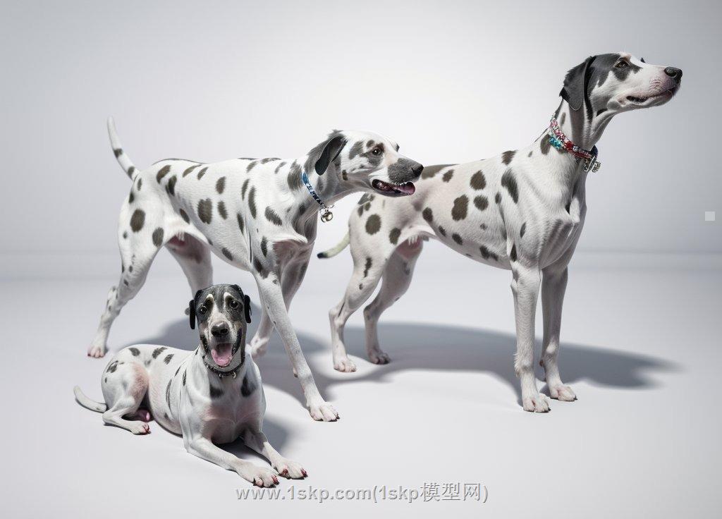 动物斑点狗狗SU模型