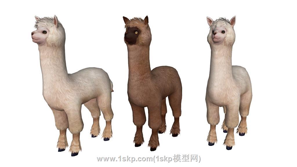 动物羊驼SU模型