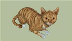 宠物猫SU模型