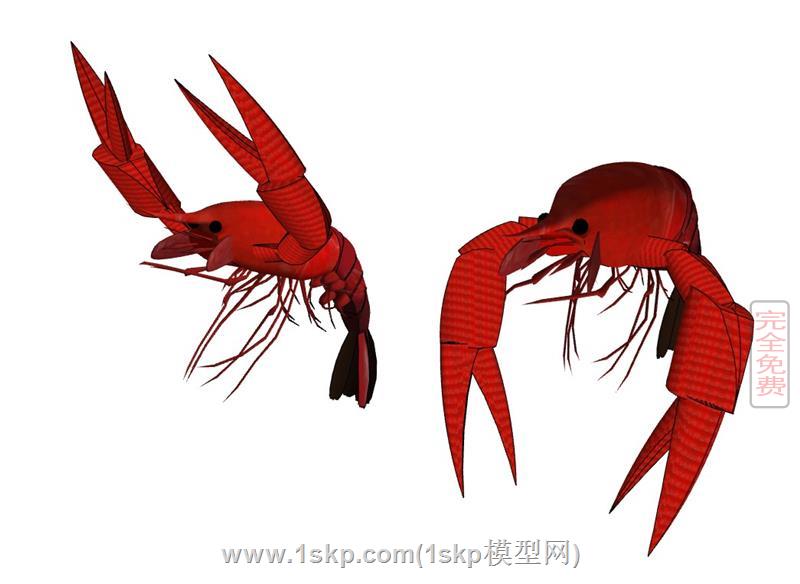小龙虾