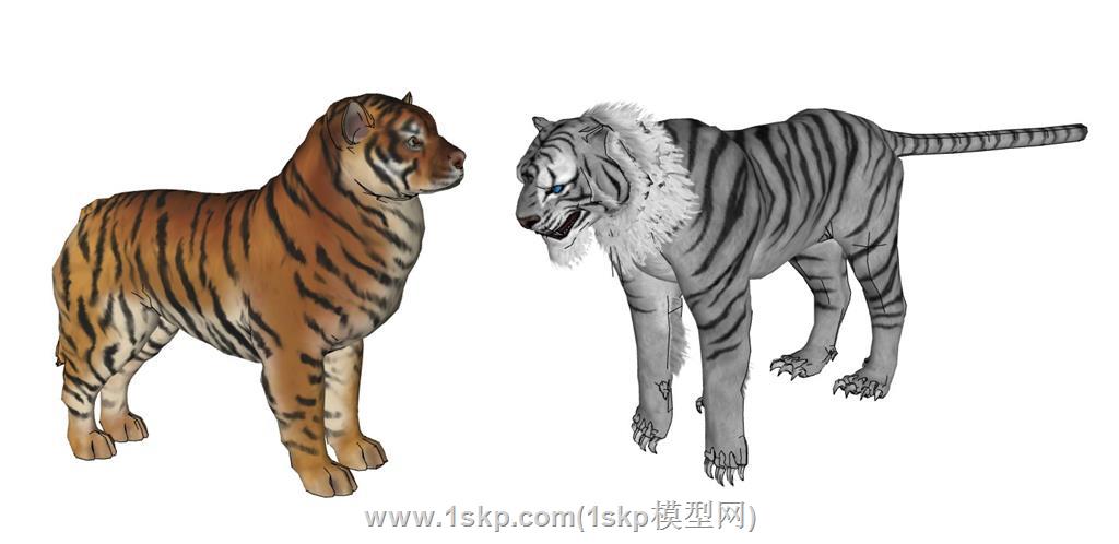 老虎东北虎白虎