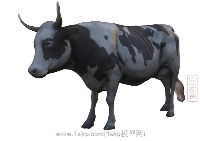 奶牛动物