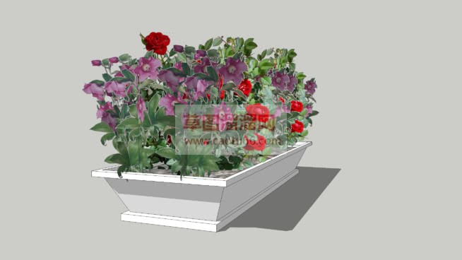 花圃花箱植物SU模型