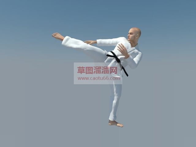黑带跆拳道踢腿SU模型