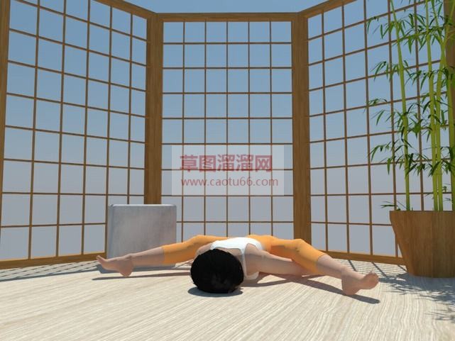 瑜伽女子人物SU模型