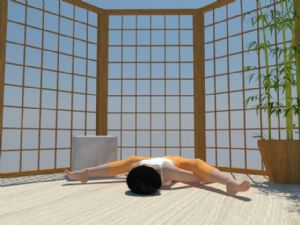 瑜伽女子人物SU模型