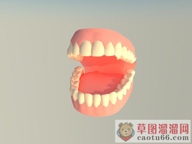 牙齿SU模型