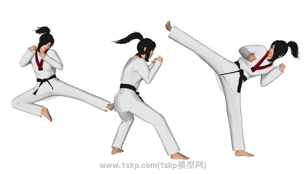 武术家跆拳道女人
