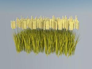 粮食农作物稻谷SU模型