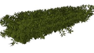 绿色植物草堆SU模型