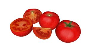 番茄西红柿组SU模型