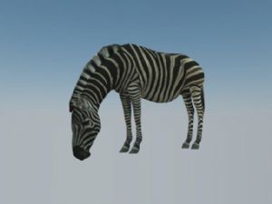 zebra斑SU模型