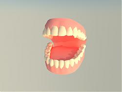 牙齿SU模型
