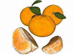 橙子水果橘子SU模型